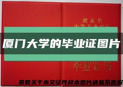 厦门大学的毕业证图片缩略图