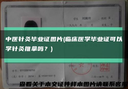 中医针灸毕业证图片(临床医学毕业证可以学针灸推拿吗？)缩略图