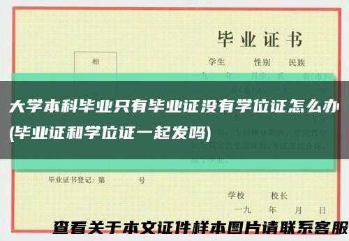 大学本科毕业只有毕业证没有学位证怎么办(毕业证和学位证一起发吗)缩略图