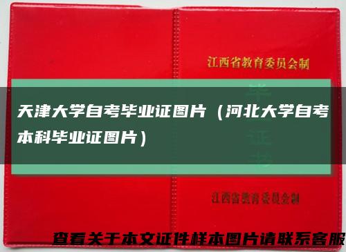 天津大学自考毕业证图片（河北大学自考本科毕业证图片）缩略图