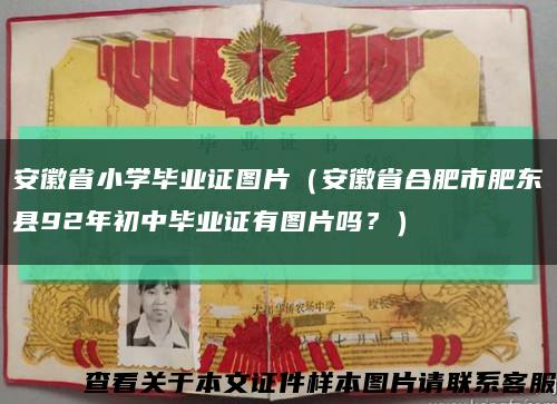 安徽省小学毕业证图片（安徽省合肥市肥东县92年初中毕业证有图片吗？）缩略图