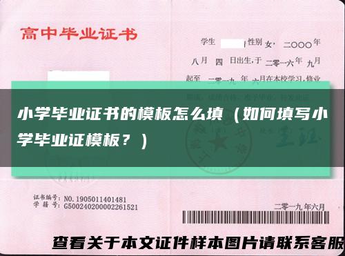 小学毕业证书的模板怎么填（如何填写小学毕业证模板？）缩略图