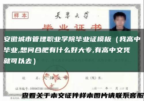 安徽城市管理职业学院毕业证模板（我高中毕业,想问合肥有什么好大专,有高中文凭就可以去）缩略图