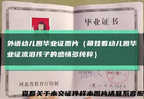 外语幼儿园毕业证图片（萌娃看幼儿园毕业证流泪孩子的感情多纯粹）缩略图
