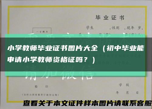小学教师毕业证书图片大全（初中毕业能申请小学教师资格证吗？）缩略图