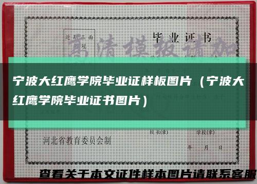 宁波大红鹰学院毕业证样板图片（宁波大红鹰学院毕业证书图片）缩略图