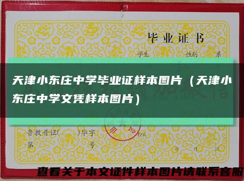 天津小东庄中学毕业证样本图片（天津小东庄中学文凭样本图片）缩略图