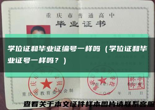 学位证和毕业证编号一样吗（学位证和毕业证号一样吗？）缩略图