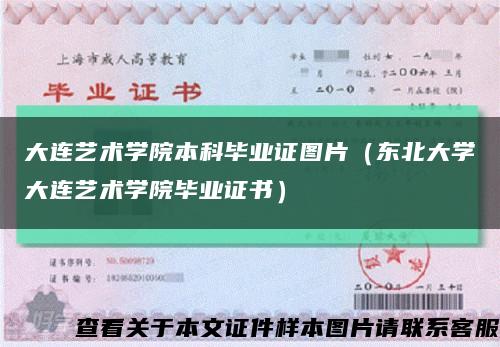 大连艺术学院本科毕业证图片（东北大学大连艺术学院毕业证书）缩略图
