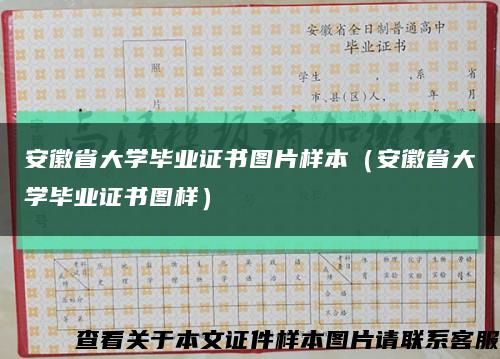 安徽省大学毕业证书图片样本（安徽省大学毕业证书图样）缩略图