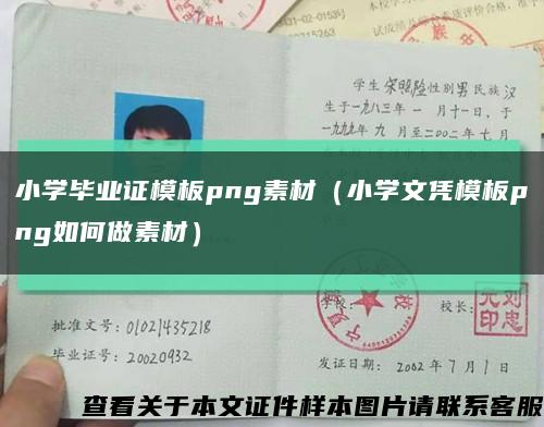 小学毕业证模板png素材（小学文凭模板png如何做素材）缩略图