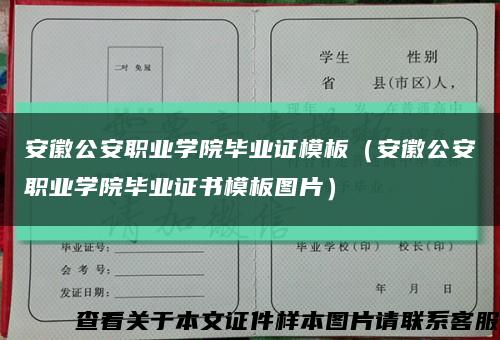 安徽公安职业学院毕业证模板（安徽公安职业学院毕业证书模板图片）缩略图