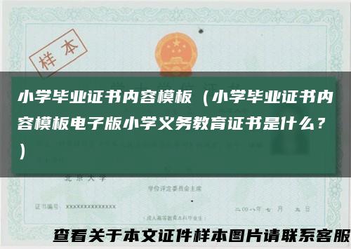 小学毕业证书内容模板（小学毕业证书内容模板电子版小学义务教育证书是什么？）缩略图