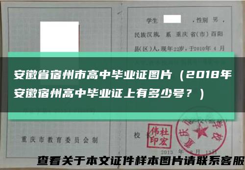 安徽省宿州市高中毕业证图片（2018年安徽宿州高中毕业证上有多少号？）缩略图