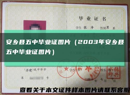 安乡县五中毕业证图片（2003年安乡县五中毕业证图片）缩略图