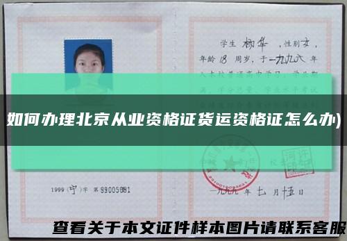 如何办理北京从业资格证货运资格证怎么办)缩略图