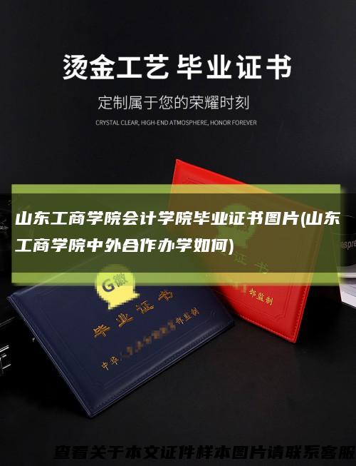 山东工商学院会计学院毕业证书图片(山东工商学院中外合作办学如何)缩略图