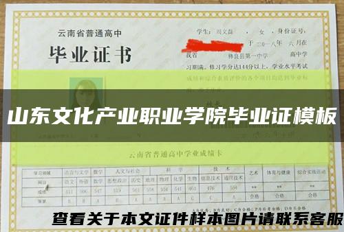 山东文化产业职业学院毕业证模板缩略图