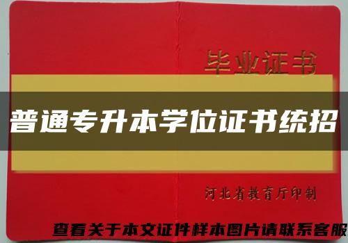 普通专升本学位证书统招缩略图