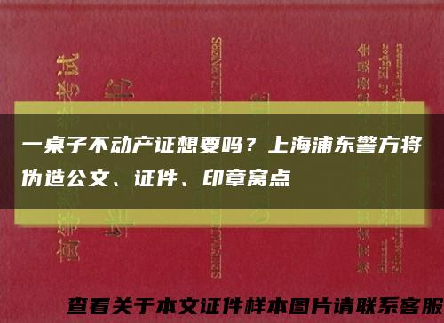 一桌子不动产证想要吗？上海浦东警方将伪造公文、证件、印章窝点缩略图