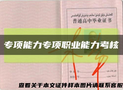 专项能力专项职业能力考核缩略图