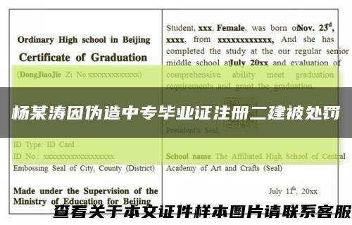 杨某涛因伪造中专毕业证注册二建被处罚缩略图