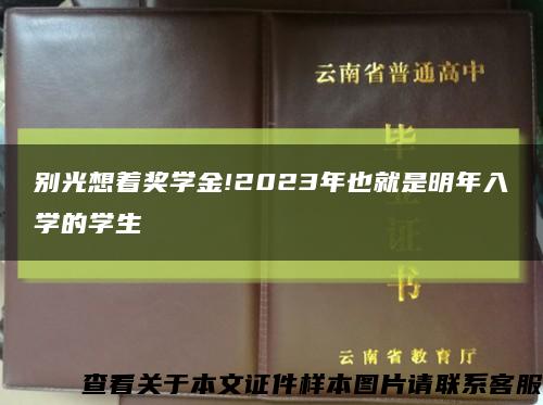 别光想着奖学金!2023年也就是明年入学的学生缩略图