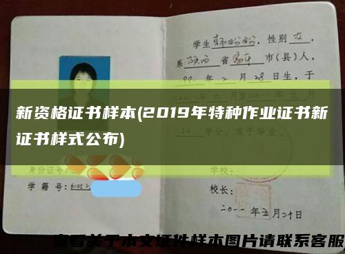 新资格证书样本(2019年特种作业证书新证书样式公布)缩略图