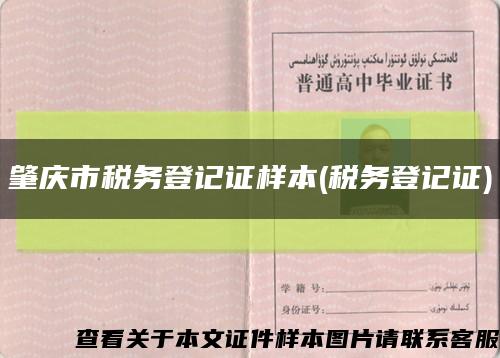 肇庆市税务登记证样本(税务登记证)缩略图