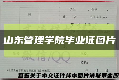 山东管理学院毕业证图片缩略图