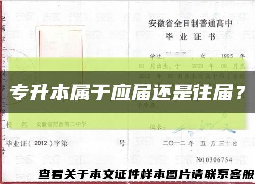 专升本属于应届还是往届？缩略图