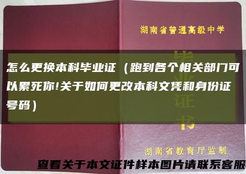 怎么更换本科毕业证（跑到各个相关部门可以累死你!关于如何更改本科文凭和身份证号码）缩略图