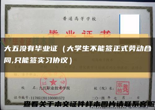 大五没有毕业证（大学生不能签正式劳动合同,只能签实习协议）缩略图