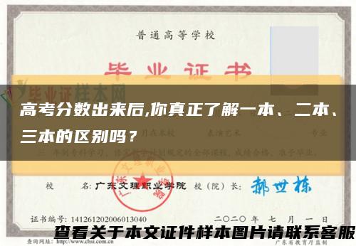 高考分数出来后,你真正了解一本、二本、三本的区别吗？缩略图