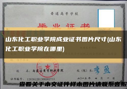 山东化工职业学院成业证书图片尺寸(山东化工职业学院在哪里)缩略图
