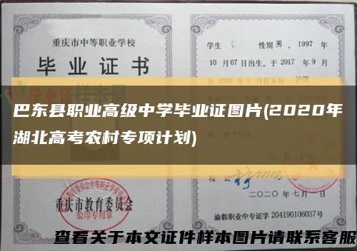 巴东县职业高级中学毕业证图片(2020年湖北高考农村专项计划)缩略图