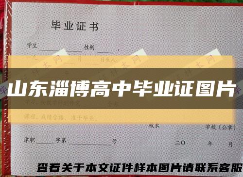 山东淄博高中毕业证图片缩略图