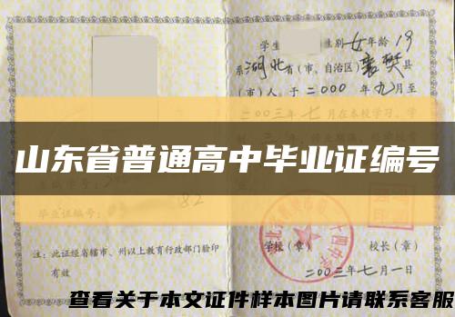山东省普通高中毕业证编号缩略图