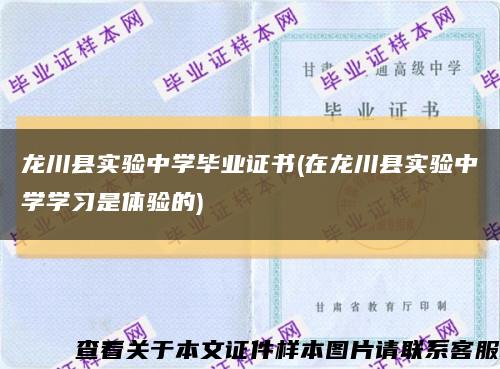 龙川县实验中学毕业证书(在龙川县实验中学学习是体验的)缩略图