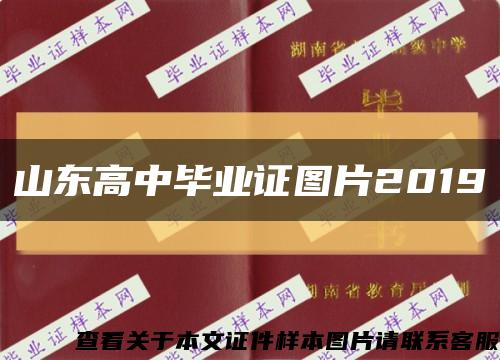 山东高中毕业证图片2019缩略图