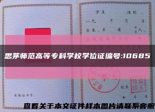 思茅师范高等专科学校学位证编号:10685缩略图