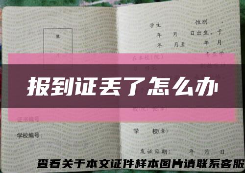 报到证丢了怎么办缩略图