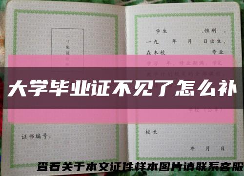大学毕业证不见了怎么补缩略图