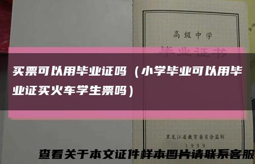 买票可以用毕业证吗（小学毕业可以用毕业证买火车学生票吗）缩略图