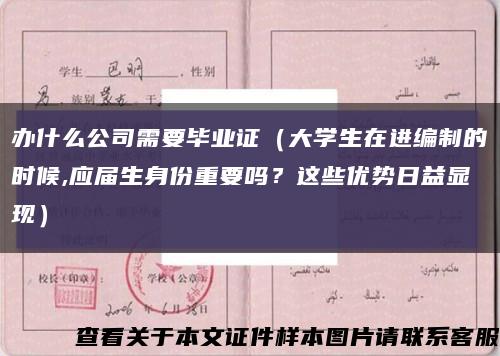 办什么公司需要毕业证（大学生在进编制的时候,应届生身份重要吗？这些优势日益显现）缩略图