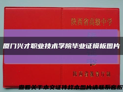 厦门兴才职业技术学院毕业证模板图片缩略图