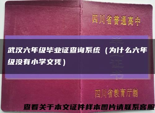 武汉六年级毕业证查询系统（为什么六年级没有小学文凭）缩略图