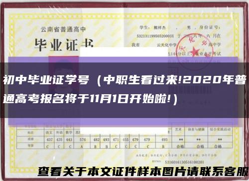 初中毕业证学号（中职生看过来!2020年普通高考报名将于11月1日开始啦!）缩略图