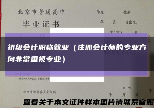 初级会计职称就业（注册会计师的专业方向非常重视专业）缩略图
