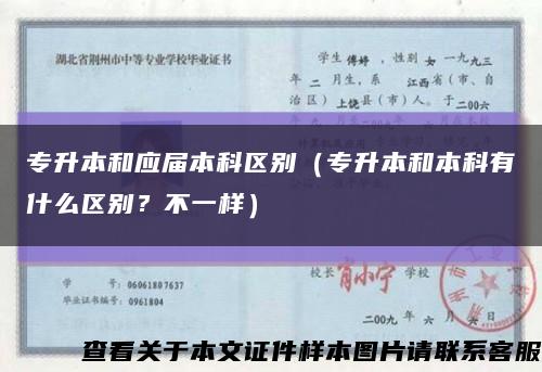 专升本和应届本科区别（专升本和本科有什么区别？不一样）缩略图